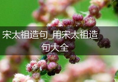 宋太祖造句_用宋太祖造句大全