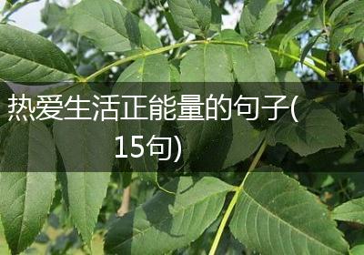 热爱生活正能量的句子(15句)