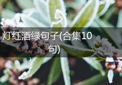 灯红酒绿句子(合集10句)