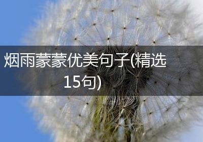 烟雨蒙蒙优美句子(精选15句)