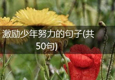 激励少年努力的句子(共50句)