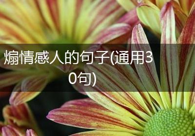 煽情感人的句子(通用30句)