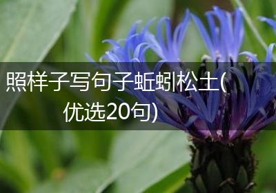 照样子写句子蚯蚓松土(优选20句)