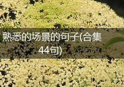 熟悉的场景的句子(合集44句)