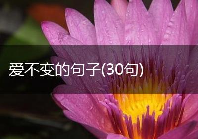 爱不变的句子(30句)