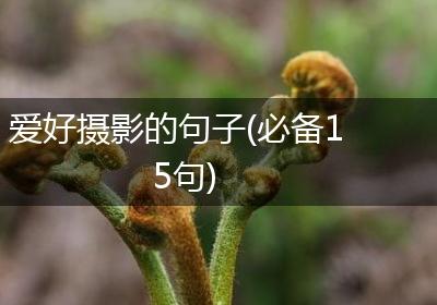 爱好摄影的句子(必备15句)
