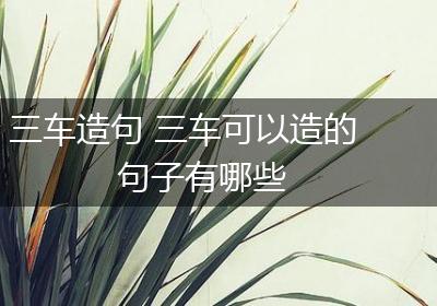 三车造句 三车可以造的句子有哪些