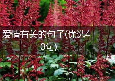 爱情有关的句子(优选40句)