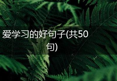 爱学习的好句子(共50句)