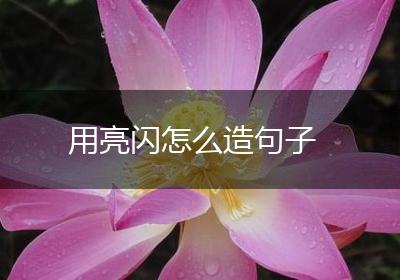 用亮闪怎么造句子