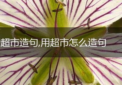 超市造句,用超市怎么造句