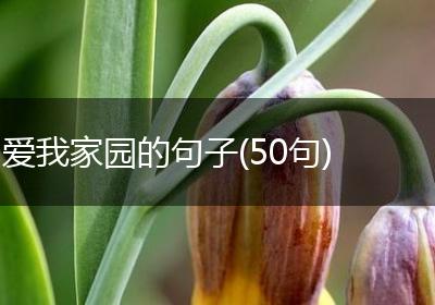 爱我家园的句子(50句)