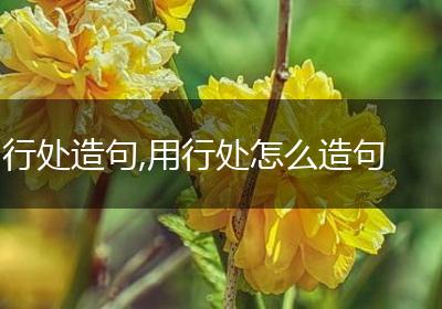行处造句,用行处怎么造句