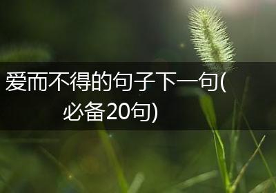 爱而不得的句子下一句(必备20句)