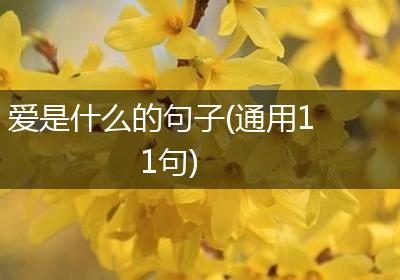 爱是什么的句子(通用11句)
