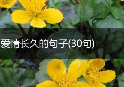 爱情长久的句子(30句)