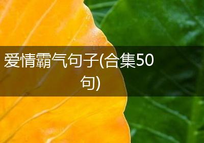 爱情霸气句子(合集50句)