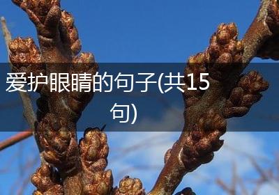 爱护眼睛的句子(共15句)