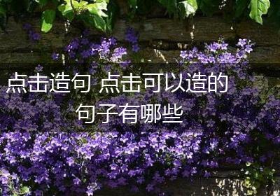 点击造句 点击可以造的句子有哪些