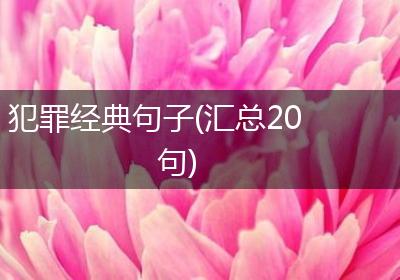 犯罪经典句子(汇总20句)