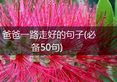 爸爸一路走好的句子(必备50句)