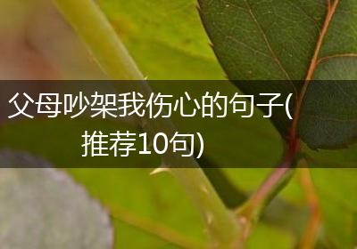 父母吵架我伤心的句子(推荐10句)