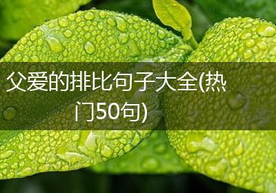 父爱的排比句子大全(热门50句)
