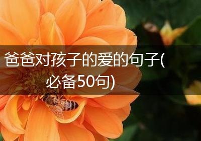爸爸对孩子的爱的句子(必备50句)