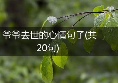 爷爷去世的心情句子(共20句)