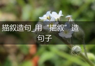 描叙造句_用“描叙”造句子