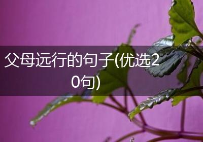 父母远行的句子(优选20句)