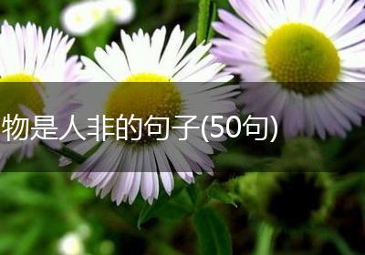 物是人非的句子(50句)