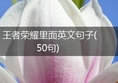 王者荣耀里面英文句子(50句)