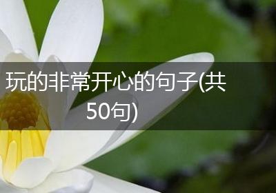 玩的非常开心的句子(共50句)