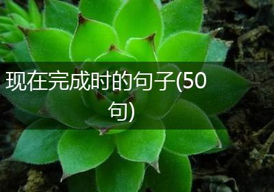 现在完成时的句子(50句)