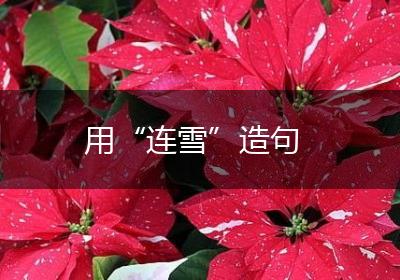 用“连雪”造句