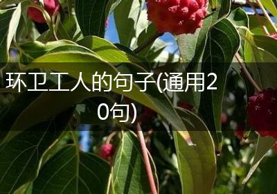 环卫工人的句子(通用20句)
