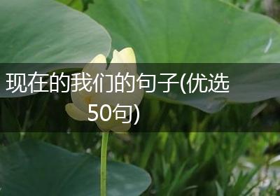 现在的我们的句子(优选50句)