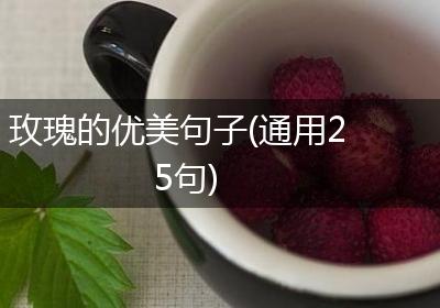 玫瑰的优美句子(通用25句)