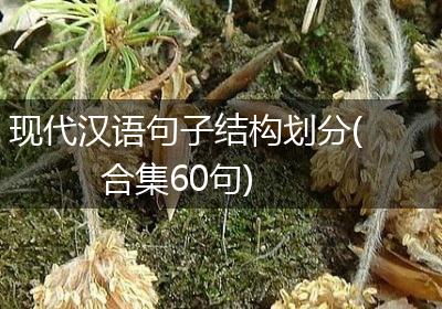 现代汉语句子结构划分(合集60句)