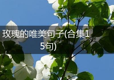 玫瑰的唯美句子(合集15句)