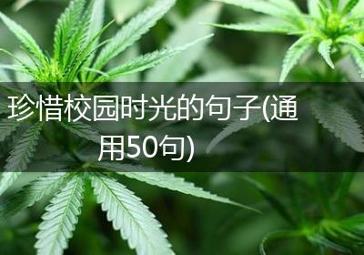 珍惜校园时光的句子(通用50句)