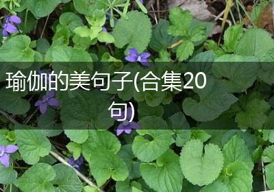 瑜伽的美句子(合集20句)