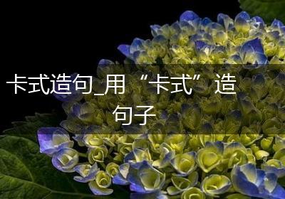 卡式造句_用“卡式”造句子