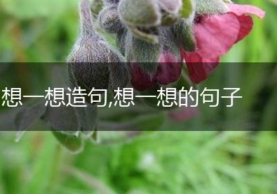 想一想造句,想一想的句子