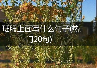 班服上面写什么句子(热门20句)