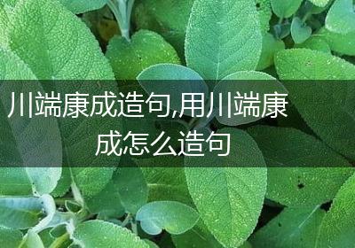 川端康成造句,用川端康成怎么造句