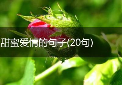 甜蜜爱情的句子(20句)