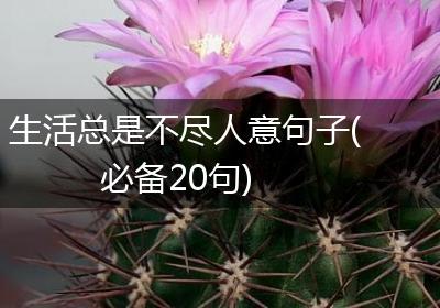 生活总是不尽人意句子(必备20句)