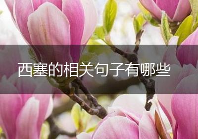 西塞的相关句子有哪些